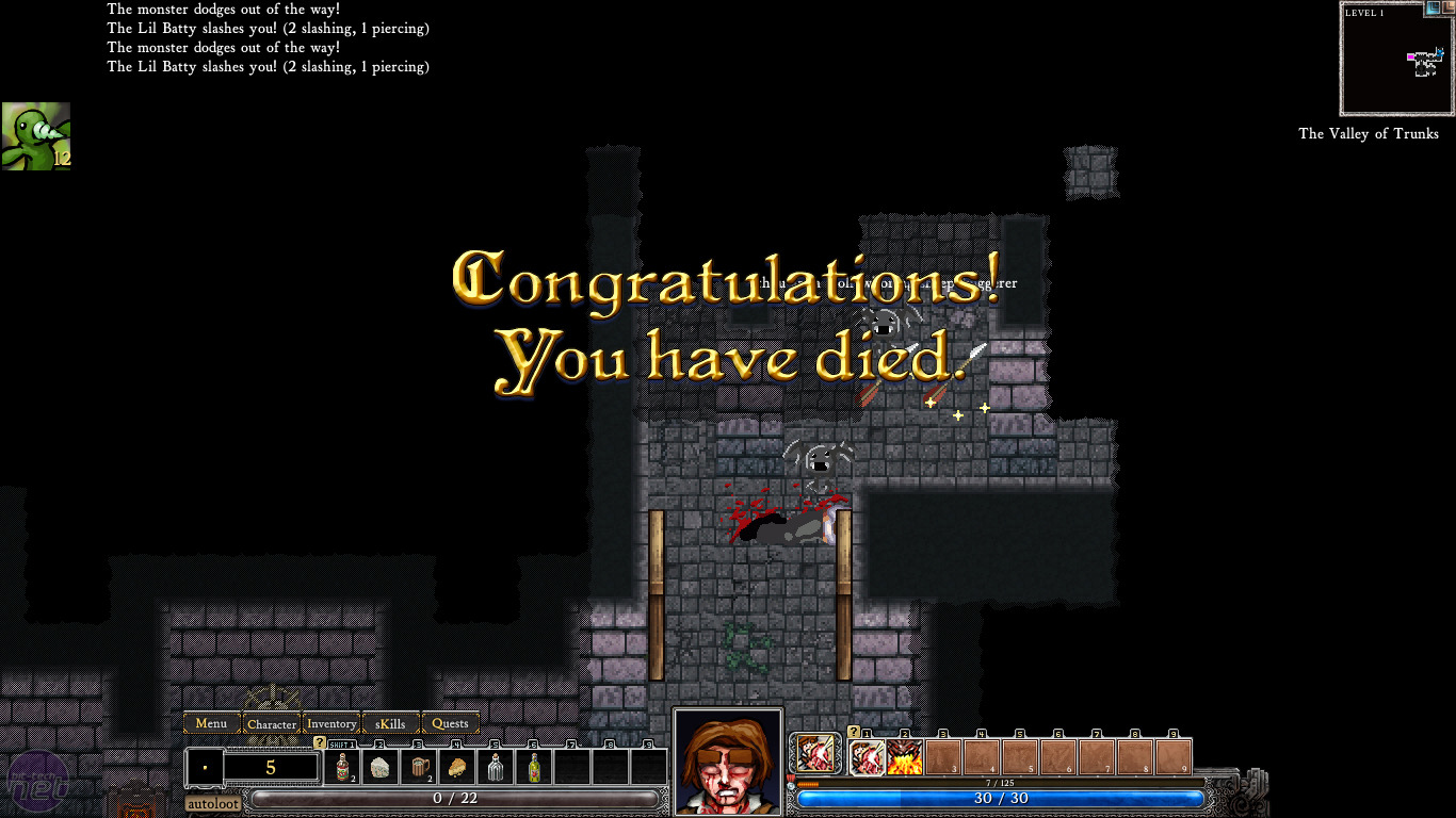 Dungeons of Dredmor